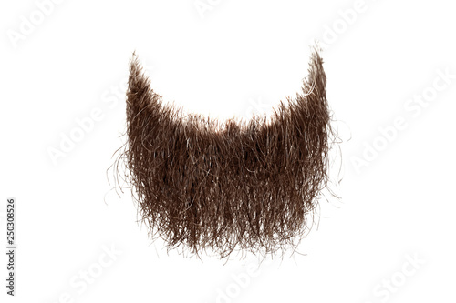 Disheveled brown beard isolated on white. Mens fashion