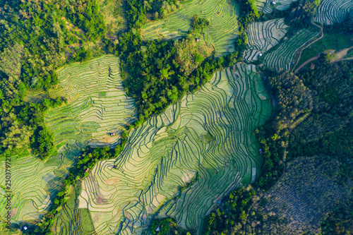 (View from above) Stunning aerial view of a spectacular green rice terrace which forms a natural texture on the hills of Luang Prabang, Laos.