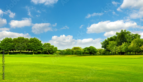 Green field, tree and blue sky.Great as a background,web banner