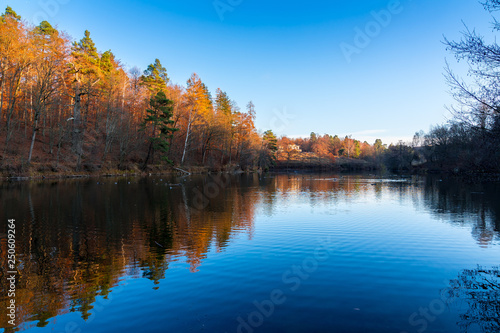 Germany, Stunning autumn colors in baerensee lake park near stuttgart