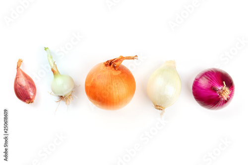 An assortment of various types of onions, shot from the top on a white background with copy space