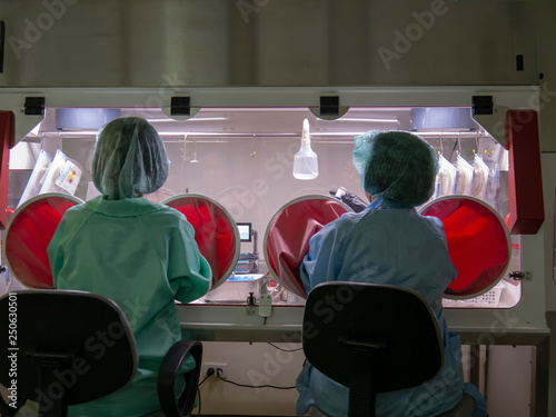 scientists working in safety cabinet fume hood for microbiological testing