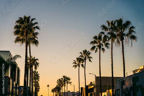 Sunset on Abbot Kinney