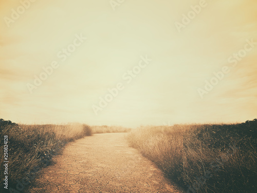 vintage path in nature