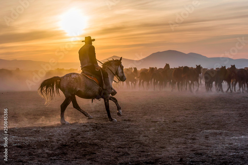 The cowboy who tamed horses at sunset