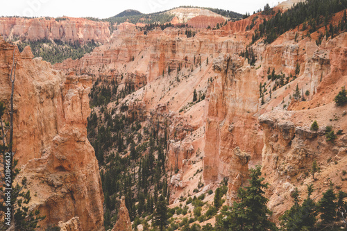View of Black Birch Canyon in Bryce Canyon National Park