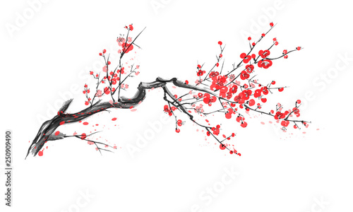 Realistic sakura blossom isolated on white background.