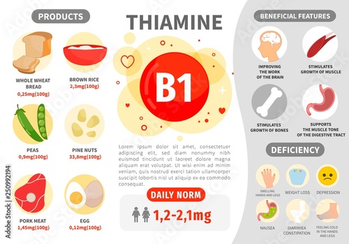 Infographics Vitamin B1. Products containing vitamin. Daily norm. Symptoms of deficiency. Vector medical poster.