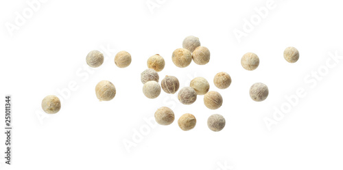 White peppercorn seeds isolated on white background