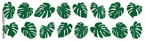 Set of tropical leaves. Vector illustration