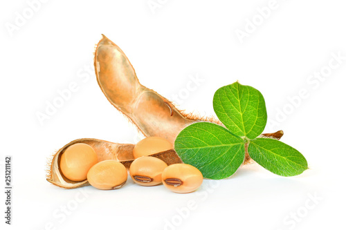 Soybean seeds with soy leaf on white background