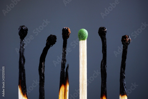 Line of burnt matches and one brand new. Individuality, leadership, burnout at work and energy.