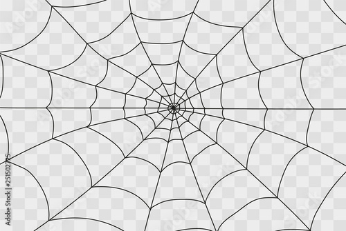 Cobweb isolated on white