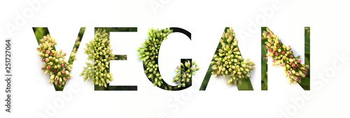 Cut out word VEGAN with growing plant inside. Organic production concept