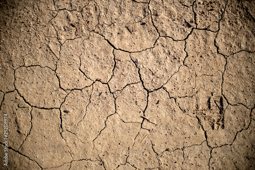 Dry Cracked Earth Detail 03