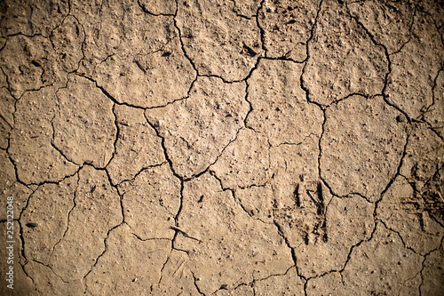 Dry Cracked Earth Detail 02