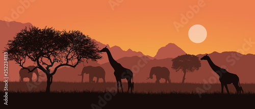 Realistic illustration of a mountain landscape on safari in Kenya, Africa. Giraffes and elephants with trees. Orange sky with sun, vector
