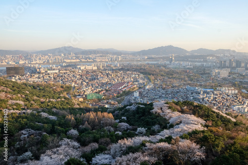 The beauty of city views during Sakura in japan.