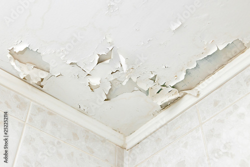 Swelling leaking of whitewash and plaster on ceiling of dwelling due to penetration of water from theroof