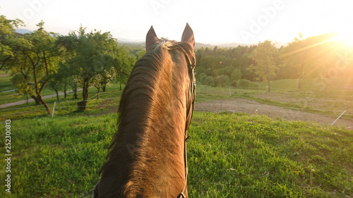 POV: Riding a beautiful brown horse around park on a sunny summer evening.