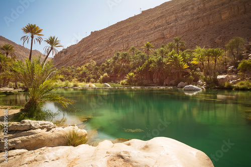 Amazing Lake and oasis with palm trees (Wadi Bani Khalid) in the Omani desert