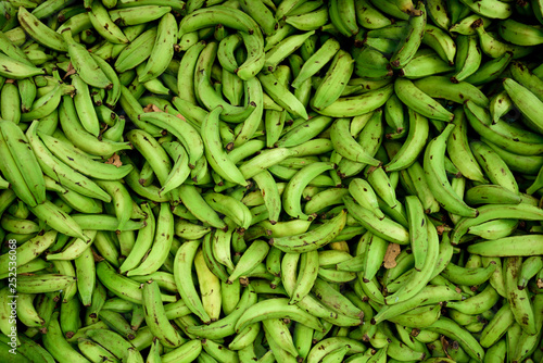 Large pile of freshly harvested raw green Colombian Plantains in Medellin, Colombia