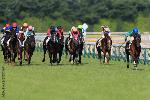 東京競馬場#6