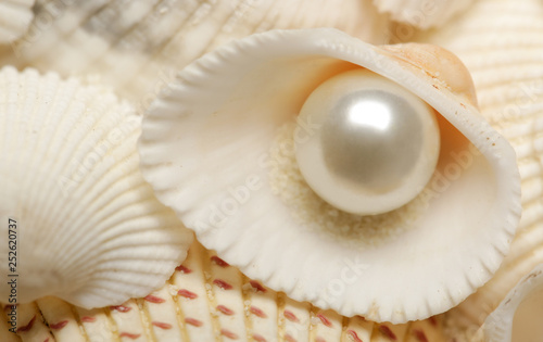  Organic pearl in a shell.