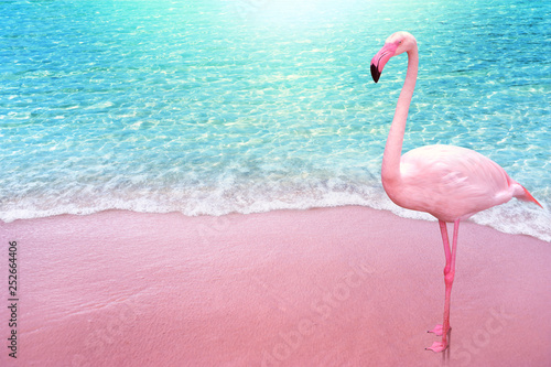 pink flamingo bird sandy beach and soft blue ocean wave summer concept background