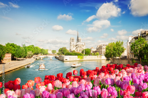 Notre Dame cathedral, Paris France