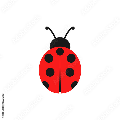 Ladybug illustration. Vector. Isolated.