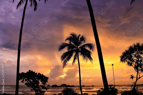 Palm trees on the background of the sunset. Palm trees on the beach. Sunset. Ocean. Landscape. Nature. Vacation. Beautiful sky at sunset. Clouds. Tropics. Beautiful view.