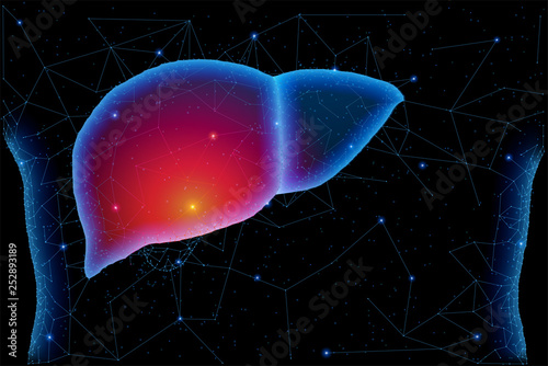 Abstract polygonal light of liver inflammation structure