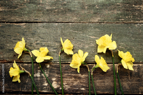 Yellow narcissus flowers on grey wooden table