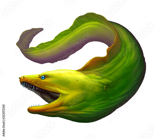 Moray eel Green. Large green moray eel with open mouth and thick row of sharp teeth of needles.