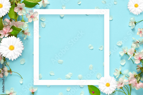 Beautiful spring nature background with lovely blossom, petal a on turquoise blue background , top view, frame. Springtime concept.