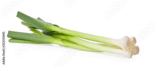 green shallots isolated on white background