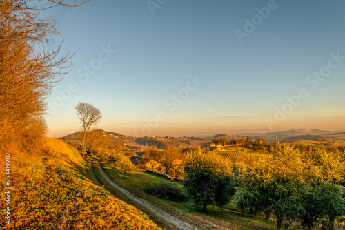 Sunset on the hills of Montferrat during winter