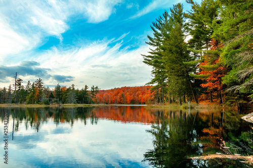 Gatineau Park forest in fall 