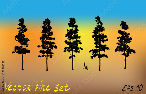 Pacific northwest pine old growth evergreen tree silhouette set collection