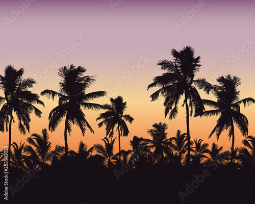 Realistic illustration of a palm forest. Purple orange sky with space for text, vector