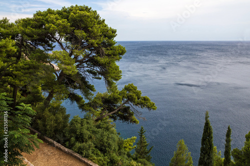 Dubrovnik seaside, pine trees, Croatia
