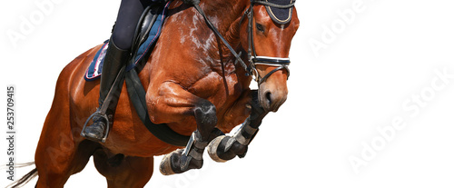 Horse over the jump, close-up of the angled front legs..