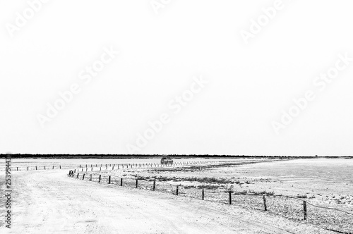 View from the viewpoint on the Etosha Pan. Monochrome