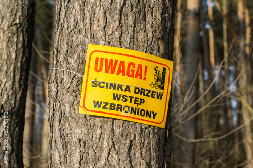 UWAGA ścinka drzew, wstęp wzbroniony