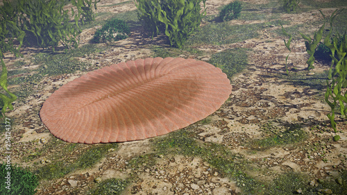 Dickinsonia, extinct creatures of the Ediacaran era, one of the first animals (3d science rendering)