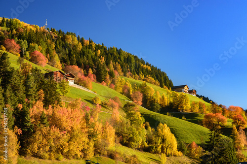 Alpejskie zbocze z jesiennymi drzewami