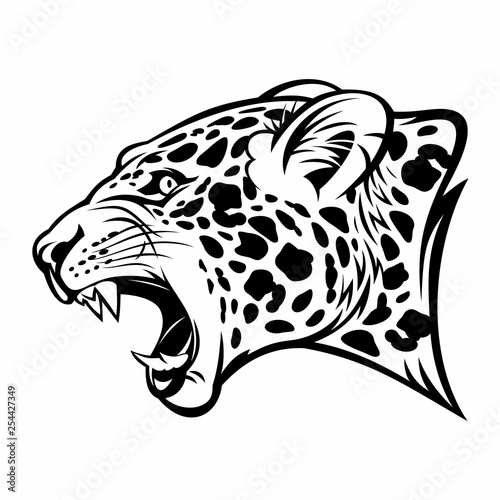 Growling jaguar vector image.