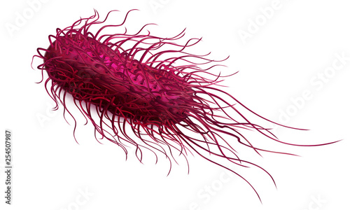 Pink bacteria salmonella. Vector illustration on a white background.