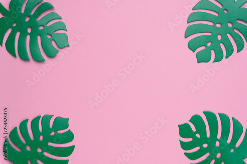 Monstera plant background. Monstera leaves on coral color background. Summer minimal concept. Space for text